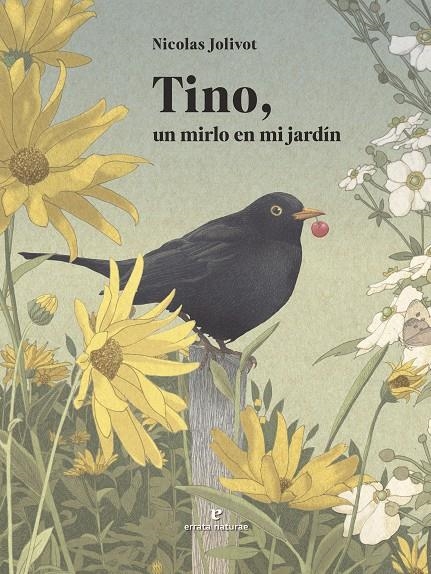 Tino, un mirlo en mi jardín | 9791387597160 | Jolivot, Nicolas | Llibres.cat | Llibreria online en català | La Impossible Llibreters Barcelona