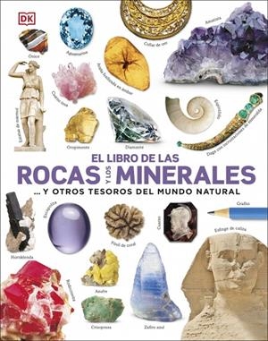El libro de las rocas y los minerales (El libro de...) | 9780241537923 | DK | Llibres.cat | Llibreria online en català | La Impossible Llibreters Barcelona